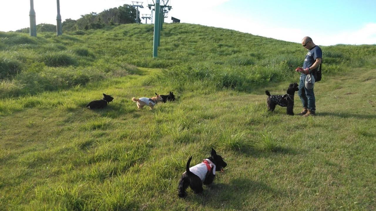 ワンコと泊まるジャスミンクリーク Hotel Toyooka  Bagian luar foto